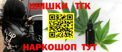 сатива Можга