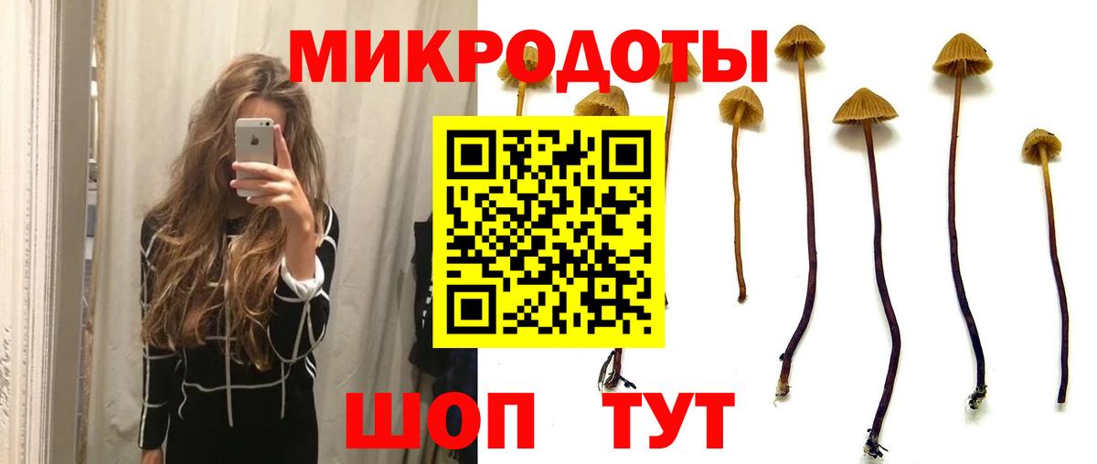 Псилоцибиновые грибы прущие грибы  Вход с VPN  Алатырь 