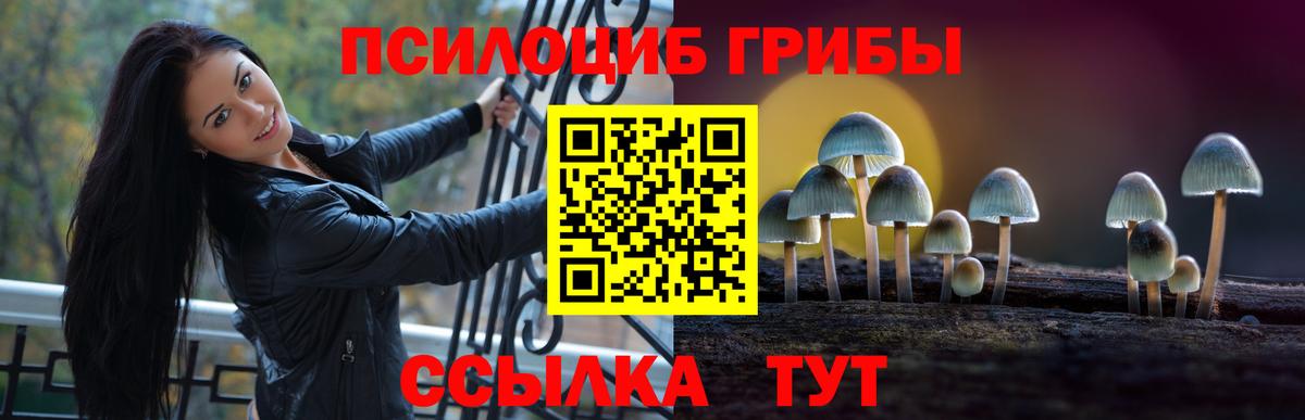 Псилоцибиновые грибы GOLDEN TEACHER Алатырь