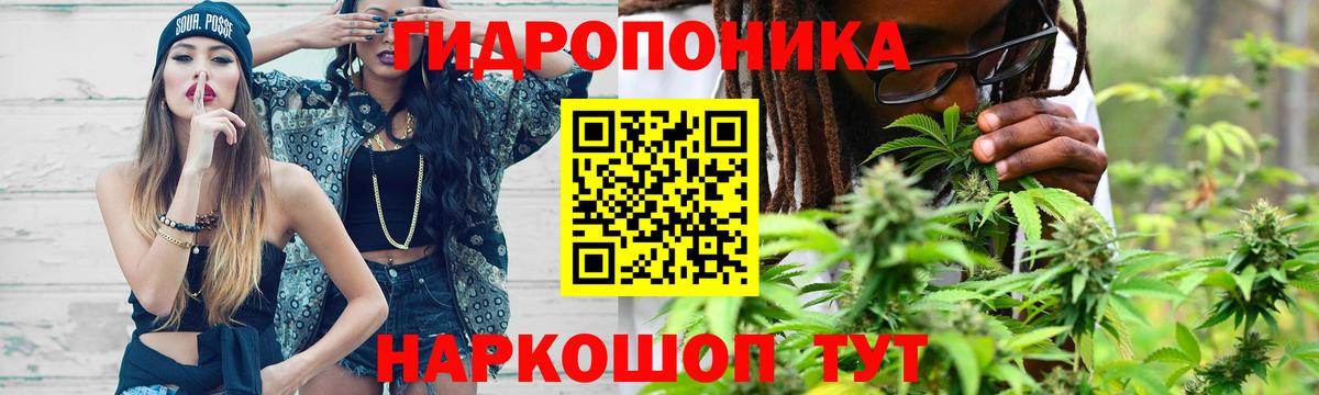 Каннабис тримм  МАРИХУАНА планчик  Каннабис Amnesia  Каннабис ГИДРОПОН  Алатырь  Вход с VPN 