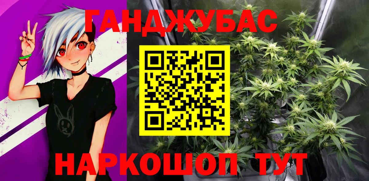 Каннабис планчик Алатырь